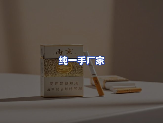 专业团队